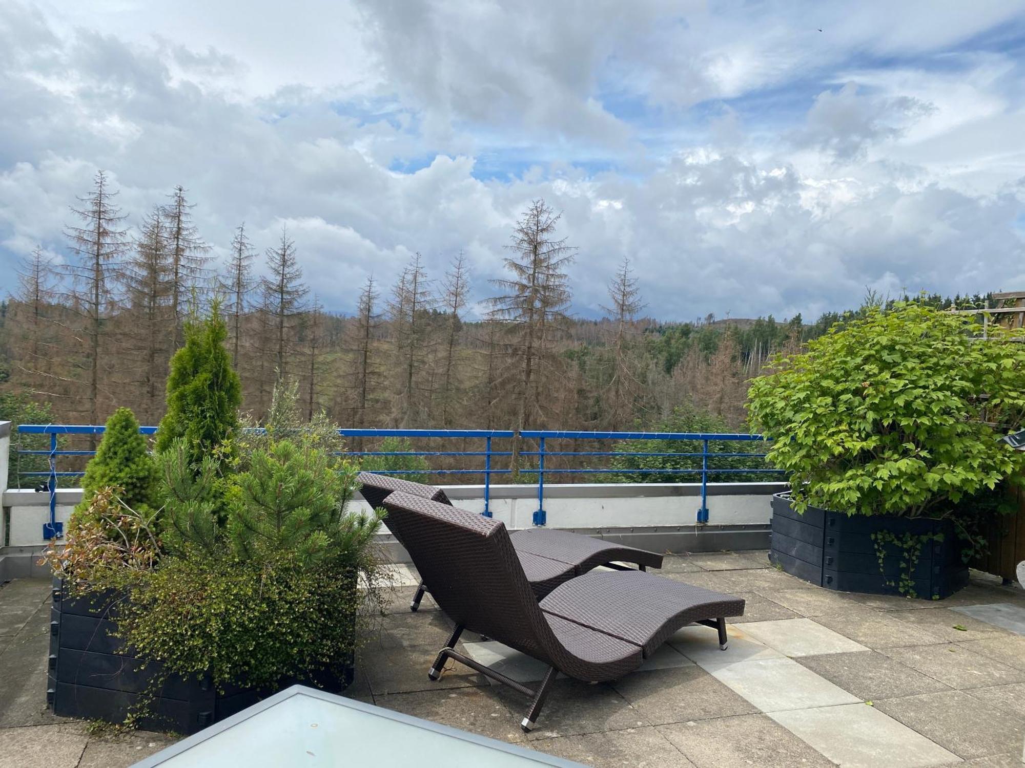 Ferienwohnung Harz #3, Pool, Sauna, Wlan Hohegeiß Esterno foto